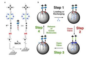 Foto: J. Zink, T. Nguyen, F. Stoddart/UCLA Chemistry