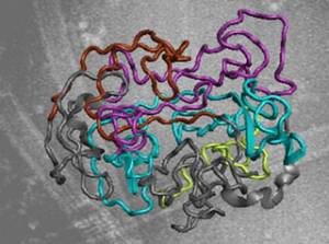 Foto: Max Planck Institute for Biophysical Chemistry / Zweckstetter