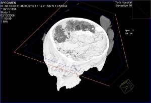 Foto: York Archaeological Trust