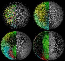 Foto: EMBL