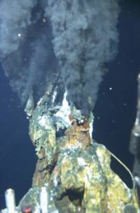 Foto: Woods Hole Oceanographic Institution