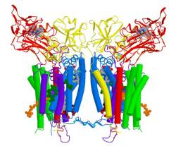 Foto: Purdue Department of Biological Sciences/H. Zhang