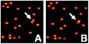 Foto: Berkeley Lab.